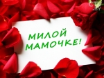 Поздравления детей к Дню матери