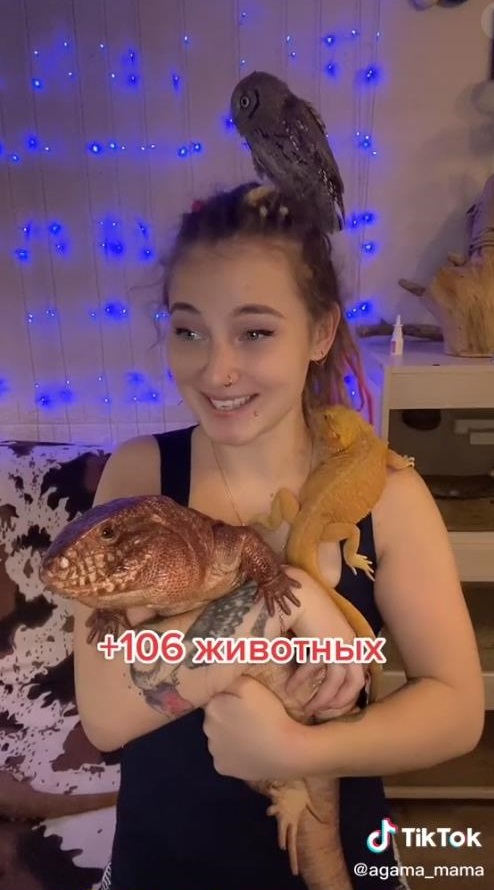 Это любовь или повод стать популярной? Девушка завела себе 106 питомцев-1