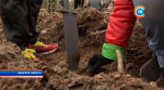 «Неделя леса»: дипломаты Беларуси 8 апреля посадили 15 тысяч деревьев