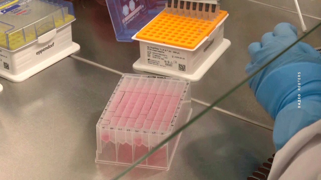 Тест-система для выявления оспы обезьян. Где в Беларуси будут проводить диагностику и когда ждать результат?