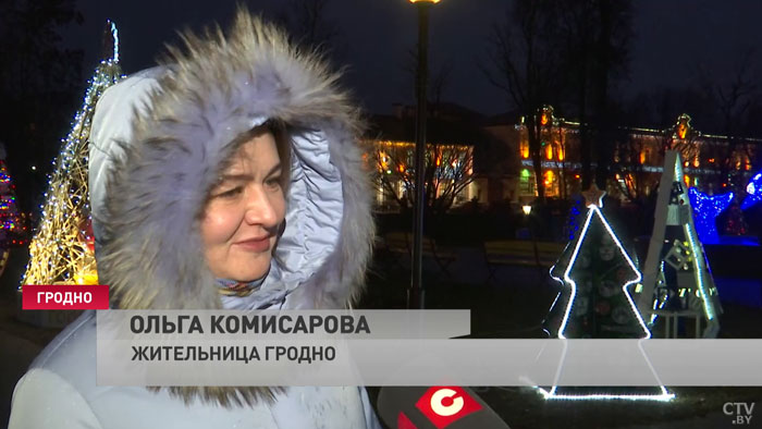 На ветках можно найти бутылки из-под шампанского, окорок, лекарства. В Гродно появилась аллея необычных новогодних ёлок-15