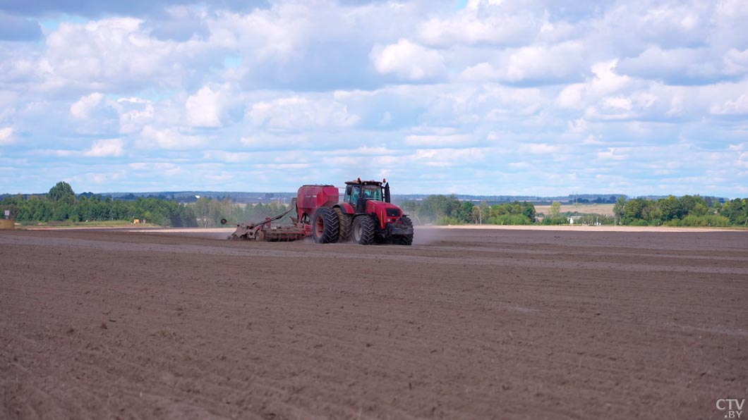 Лукашенко: нужны конкретные мероприятия, которые поспособствуют развитию Полесья на века-2