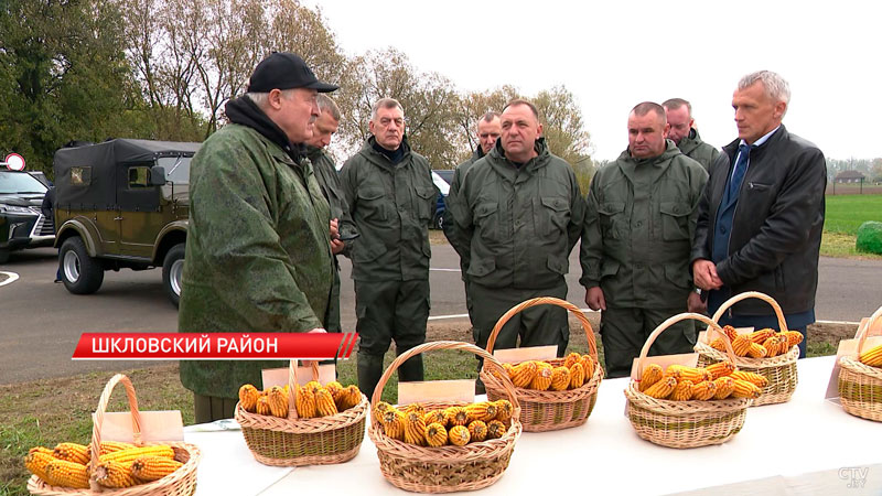 Лукашенко: кукуруза неплохая, что там говорить. Но мы отстаём от Запада-6