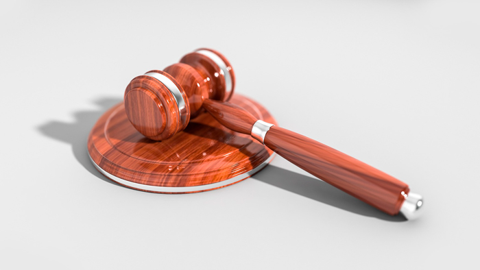 Французский суд приговорил Ле Пен к 4 годам лишения свободы