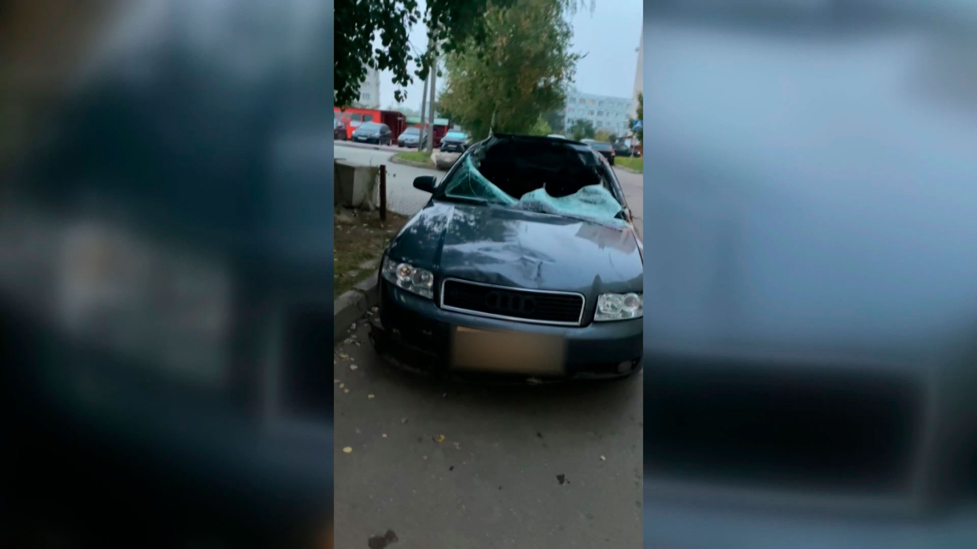 В Беларуси растёт число аварий с дикими животными. Как не стать участником такого ДТП-8