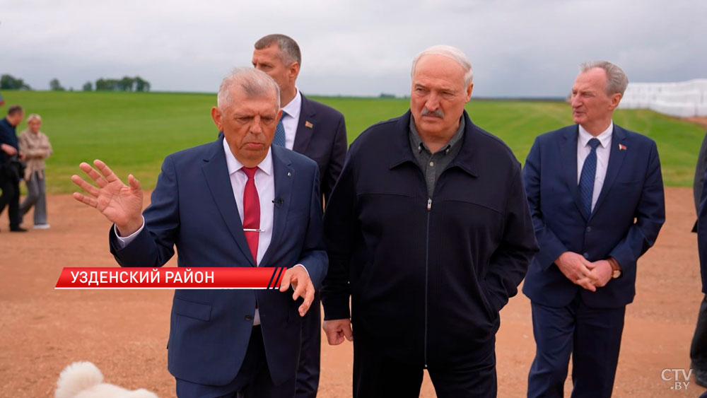Генетика в АПК – коровы как с картинки? Лукашенко показали передовое хозяйство в окрестностях Минска-6 Генетика в АПК – коровы как с картинки? Лукашенко показали передовое хозяйство в окрестностях Минска-6