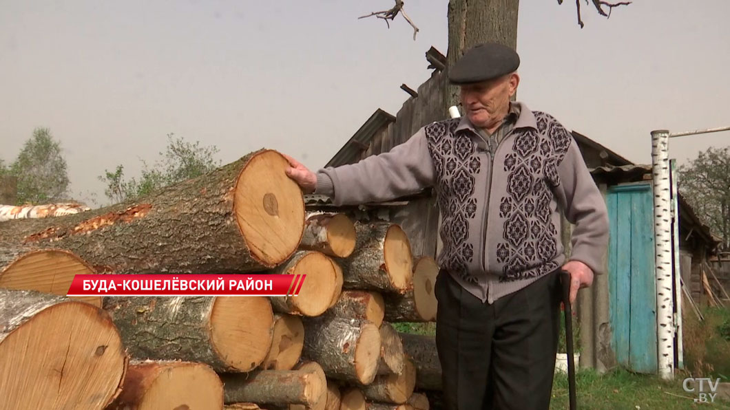 Белорусы запасаются дровами – какую древесину выбрать и во сколько это обойдётся?-2