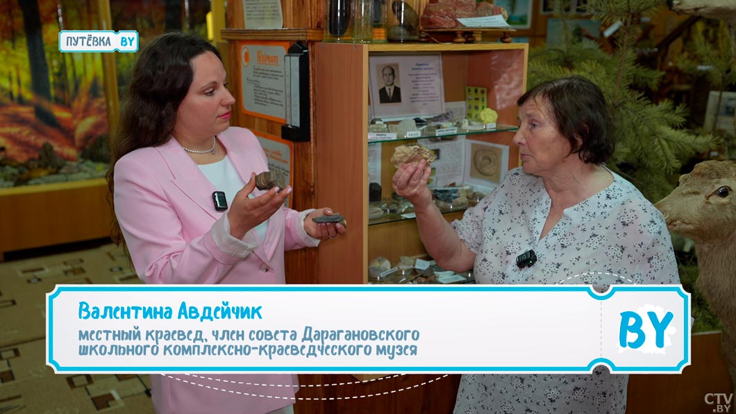 В Беларуси было море?! В музее Дараганово показали артефакты, которые могут это доказать-12
