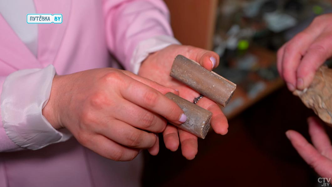 В Беларуси было море?! В музее Дараганово показали артефакты, которые могут это доказать-14