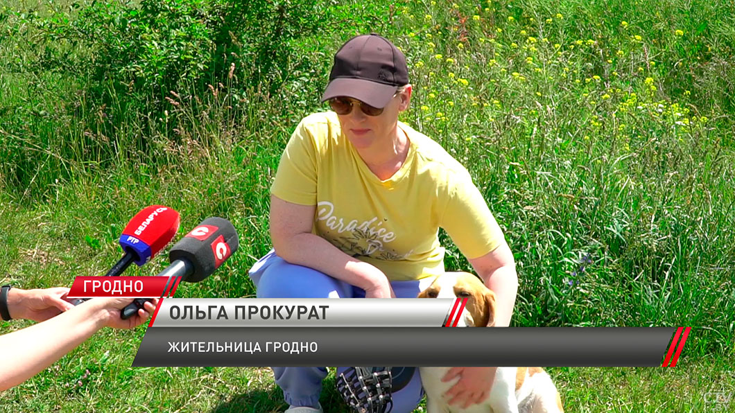 Высказался даже Президент! В Гродно возбуждено дело по факту жестокого обращения с собакой-4