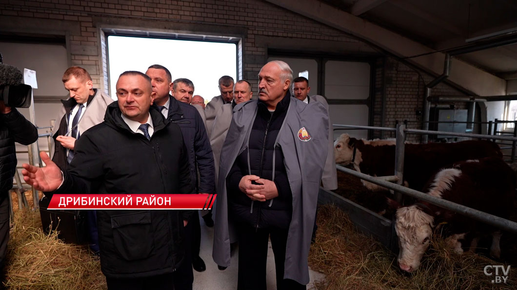 Лукашенко подарили корову! Президент с рабочим визитом в Могилевской области-6