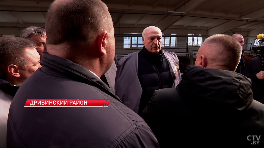Лукашенко подарили корову! Президент с рабочим визитом в Могилевской области-8