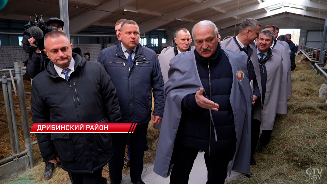 Лукашенко подарили корову! Президент с рабочим визитом в Могилевской области-10