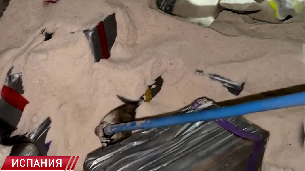 Испанская полиция провела крупнейшее в своей истории морское задержание партии кокаина-4