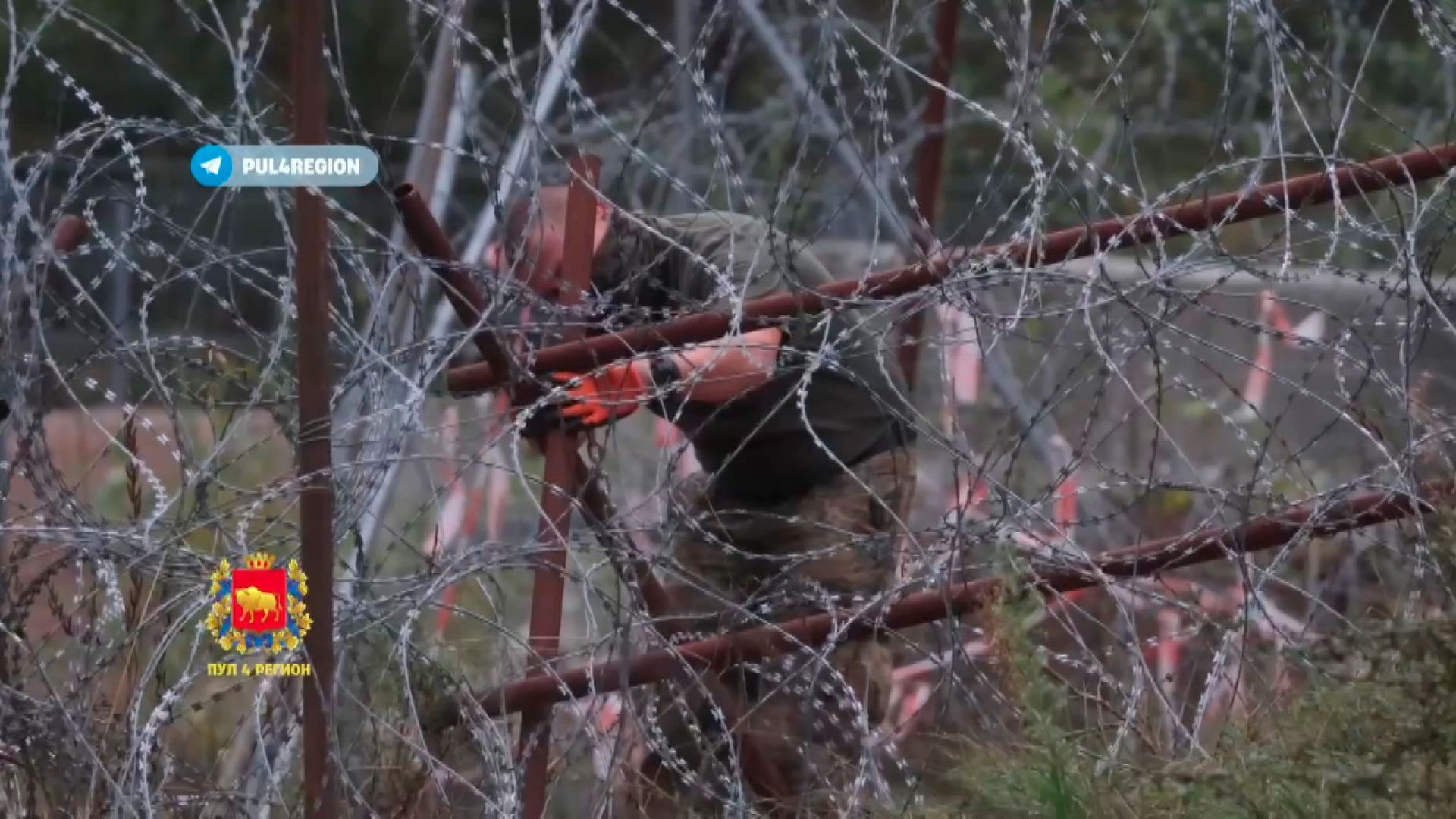 Закрытие границы – это демонстративный жест. Больше ничего поляки сделать не могут – политолог Закрытие границы – это демонстративный жест. Больше ничего поляки сделать не могут – политолог