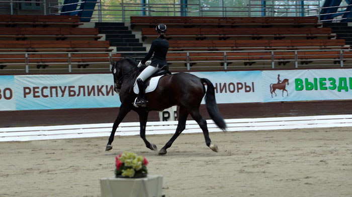 В Ратомке стартовал второй этап Кубка Евразии по выездке