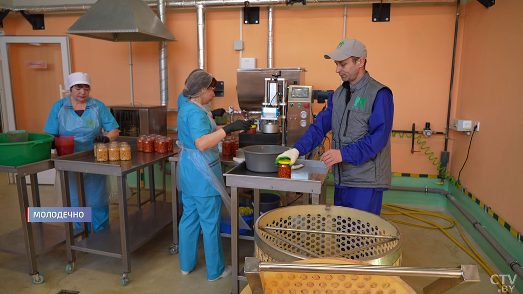 Производство аквафабы – порошка из нута – запустят в Молодечно-2