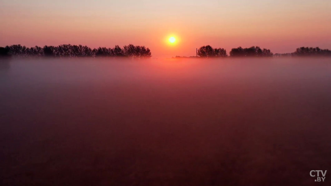 Развитие Припятского Полесья до 2030 года! О чём предупредил Лукашенко?-12 Развитие Припятского Полесья до 2030 года! О чём предупредил Лукашенко?-12