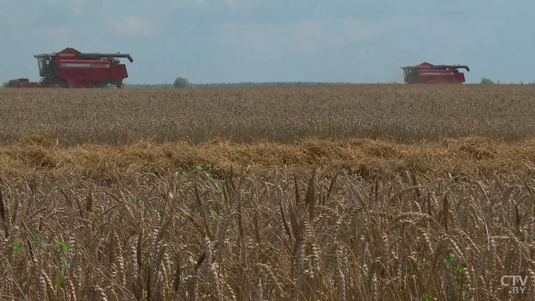 Развитие Припятского Полесья до 2030 года! О чём предупредил Лукашенко?-2