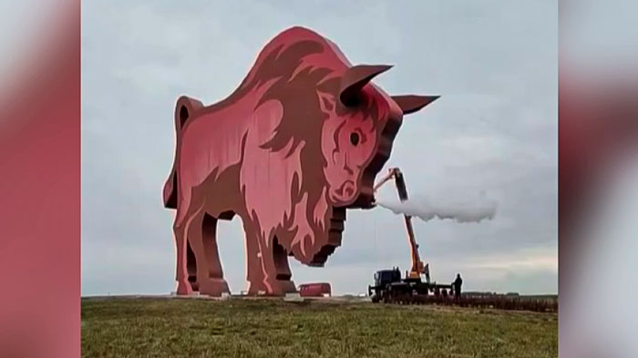 Знаменитый зубр на М1 будет выпускать пар из ноздрей Знаменитый зубр на М1 будет выпускать пар из ноздрей