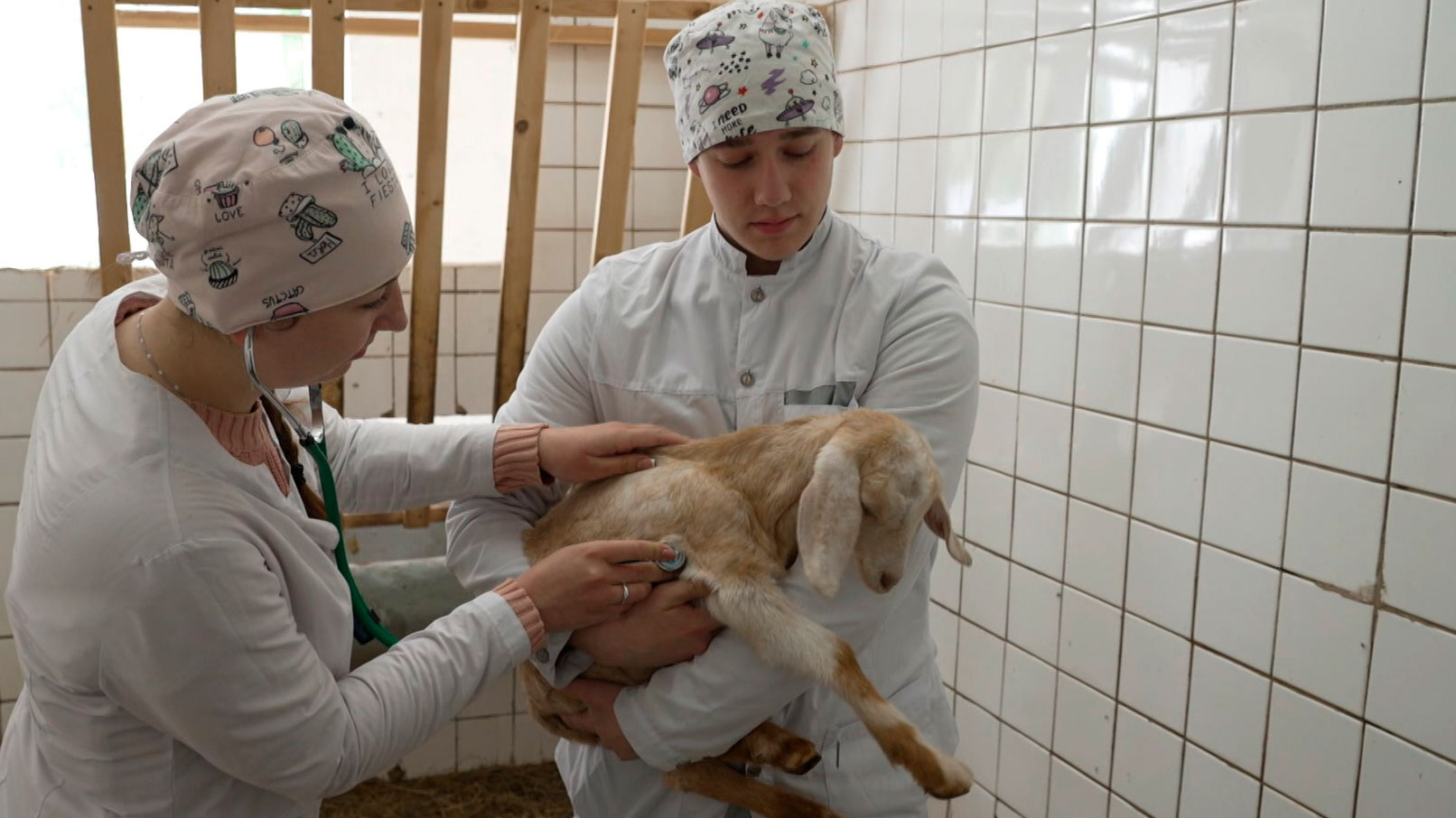 Аграрные вузы Беларуси начали приём документов на заочное обучение