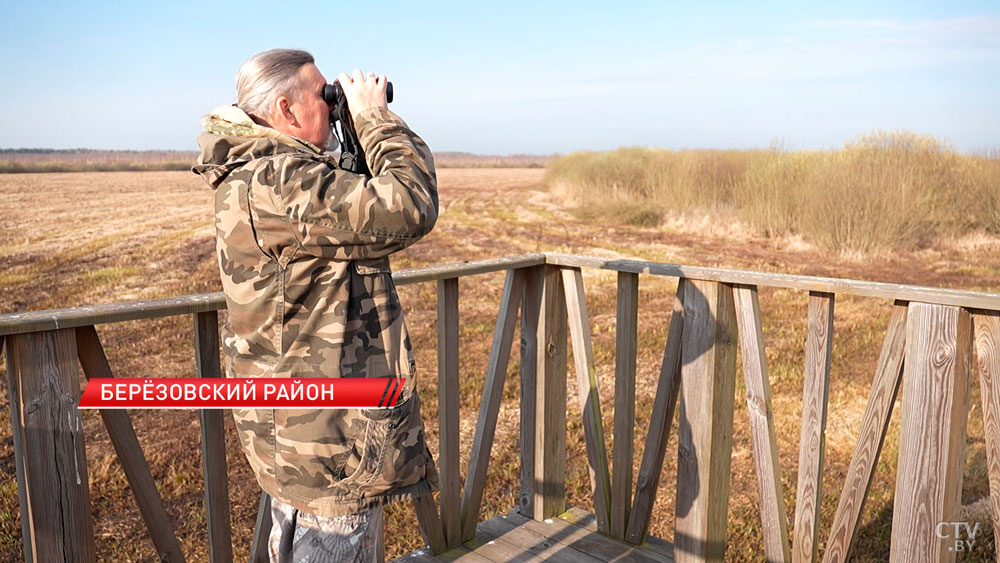Обновленное издание Красной книги представили в Беларуси-12