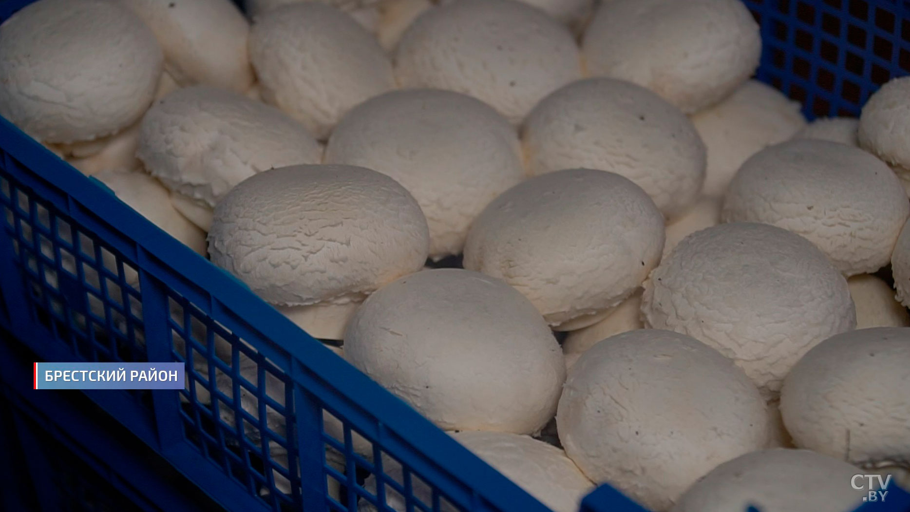 60 проектов запустят в Беларуси до конца года по инициативе «Один район – один проект». Сколько уже реализовано?-2