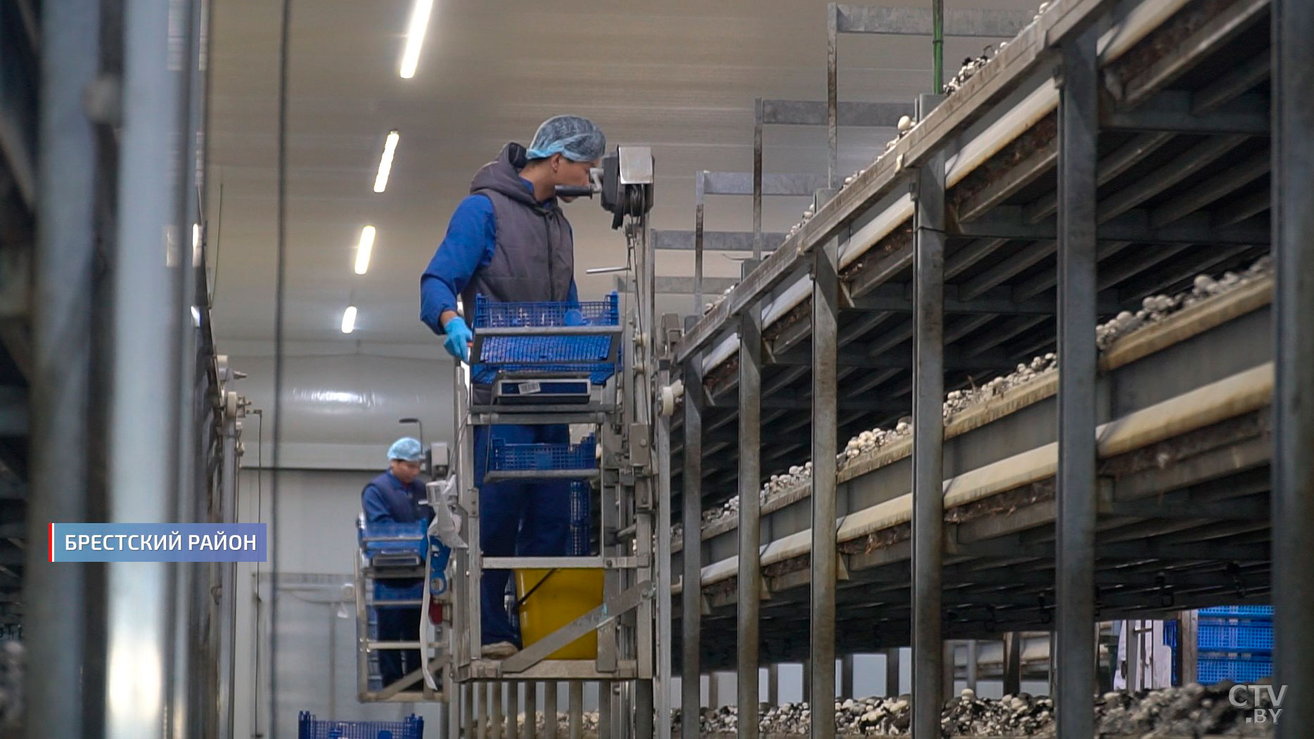 60 проектов запустят в Беларуси до конца года по инициативе «Один район – один проект». Сколько уже реализовано?-10