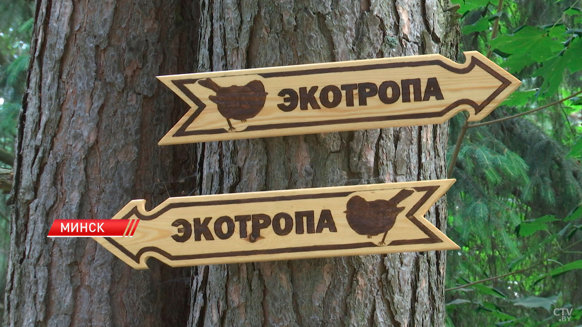 Ко дню рождения столицы в Минске откроют 9 новых зон отдыха-2