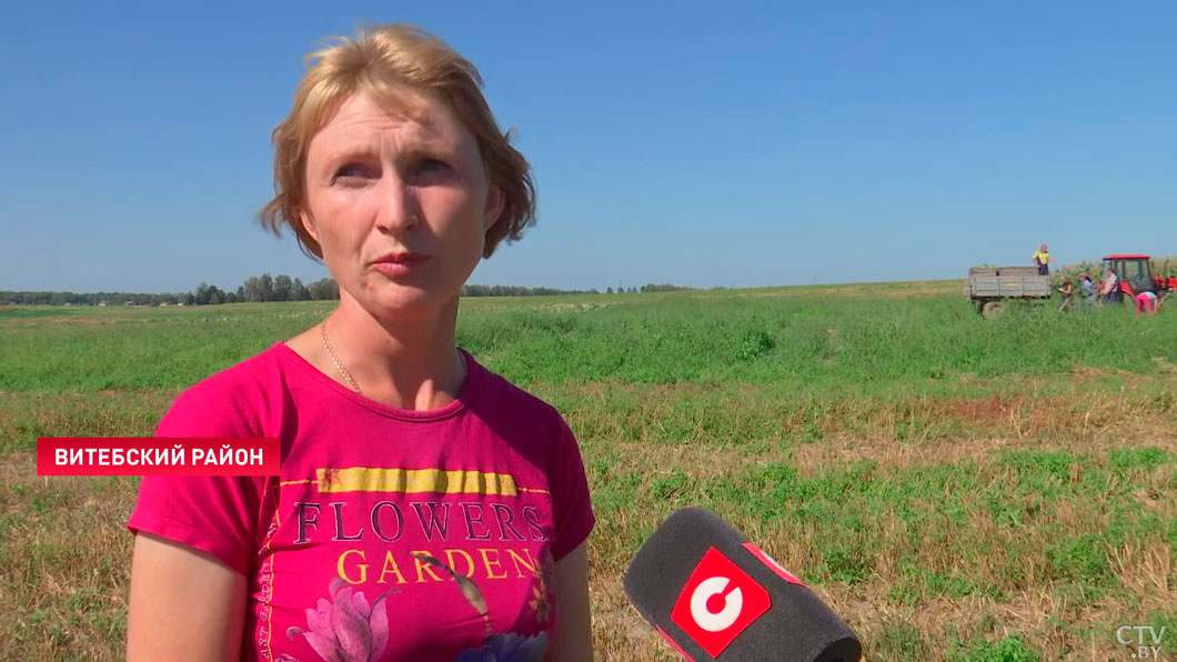 Под Витебском проводят испытания 125 сортов уникальных для Беларуси овощей и фруктов-4 Под Витебском проводят испытания 125 сортов уникальных для Беларуси овощей и фруктов-4