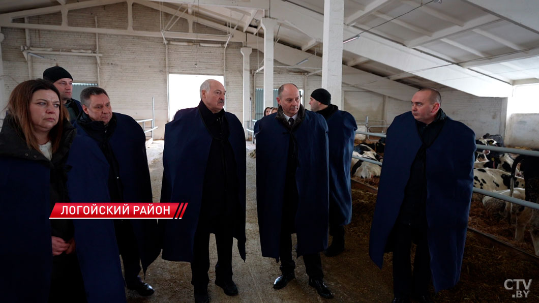 Лукашенко оценил условия содержания телят! Подробности рабочей поездки в Логойский район-2