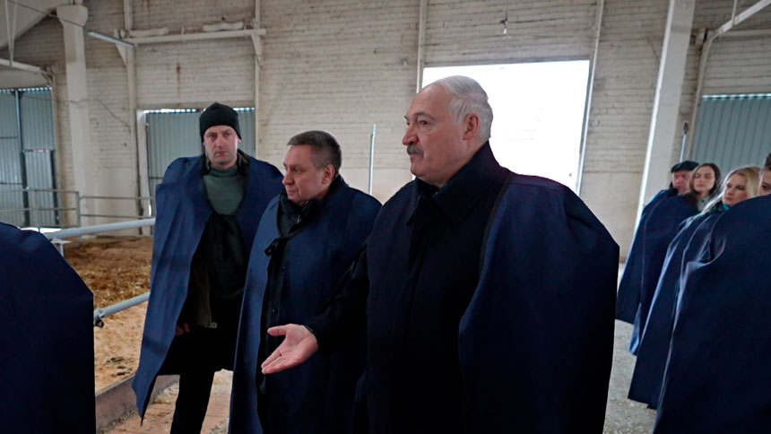 Лукашенко оценил условия содержания телят! Подробности рабочей поездки в Логойский район Лукашенко оценил условия содержания телят! Подробности рабочей поездки в Логойский район