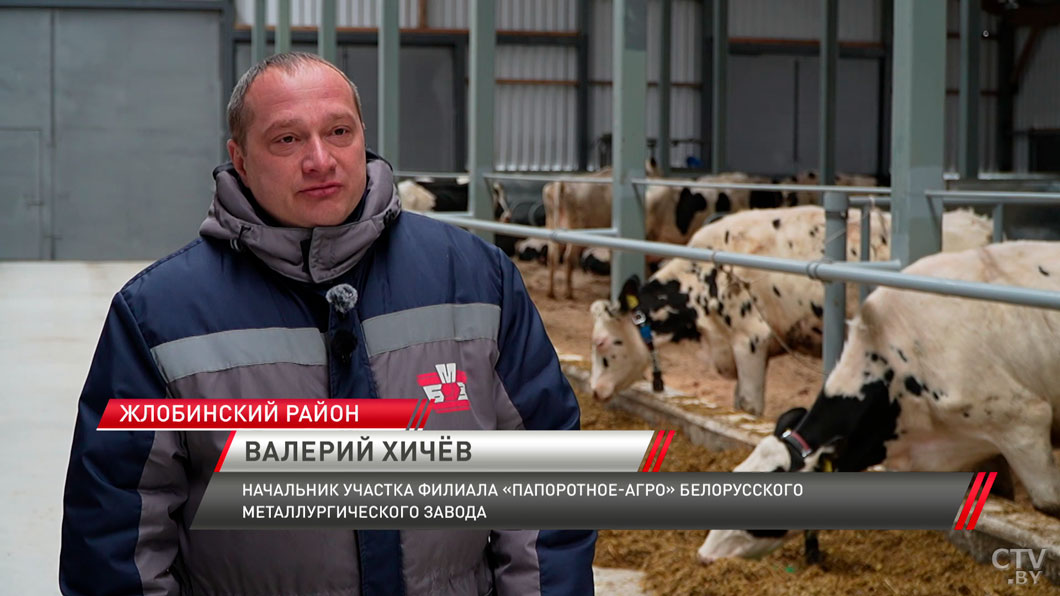 В Жлобинском районе готовят к открытию современный молочно-товарный комплекс-4 В Жлобинском районе готовят к открытию современный молочно-товарный комплекс-4