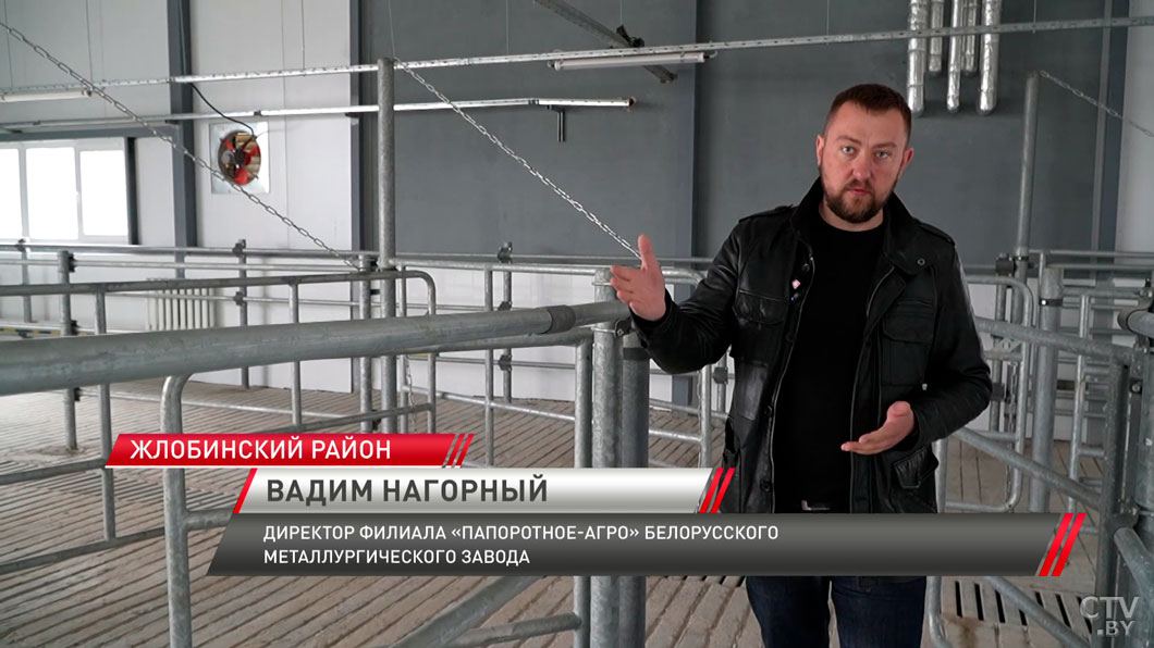 В Жлобинском районе готовят к открытию современный молочно-товарный комплекс-2 В Жлобинском районе готовят к открытию современный молочно-товарный комплекс-2