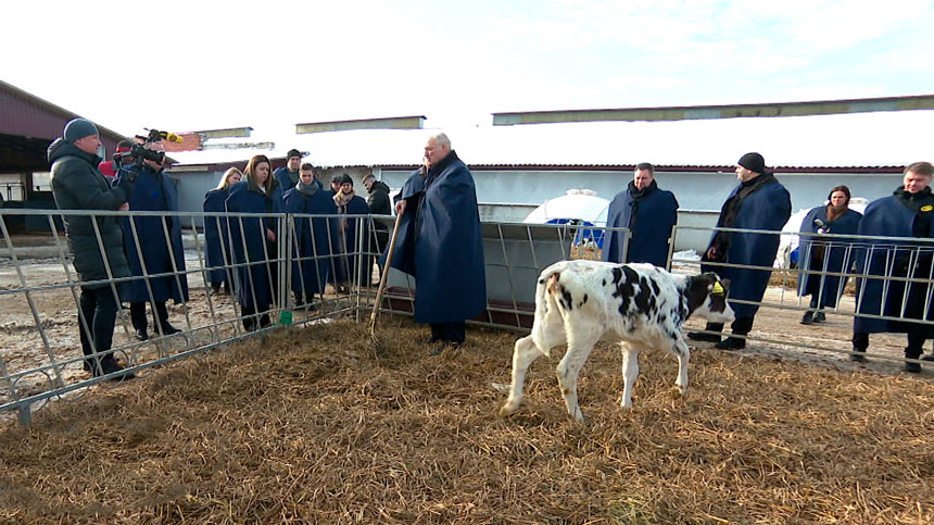 Лукашенко: «Такого быть не должно!» Президент нагрянул на ферму с неожиданной проверкой