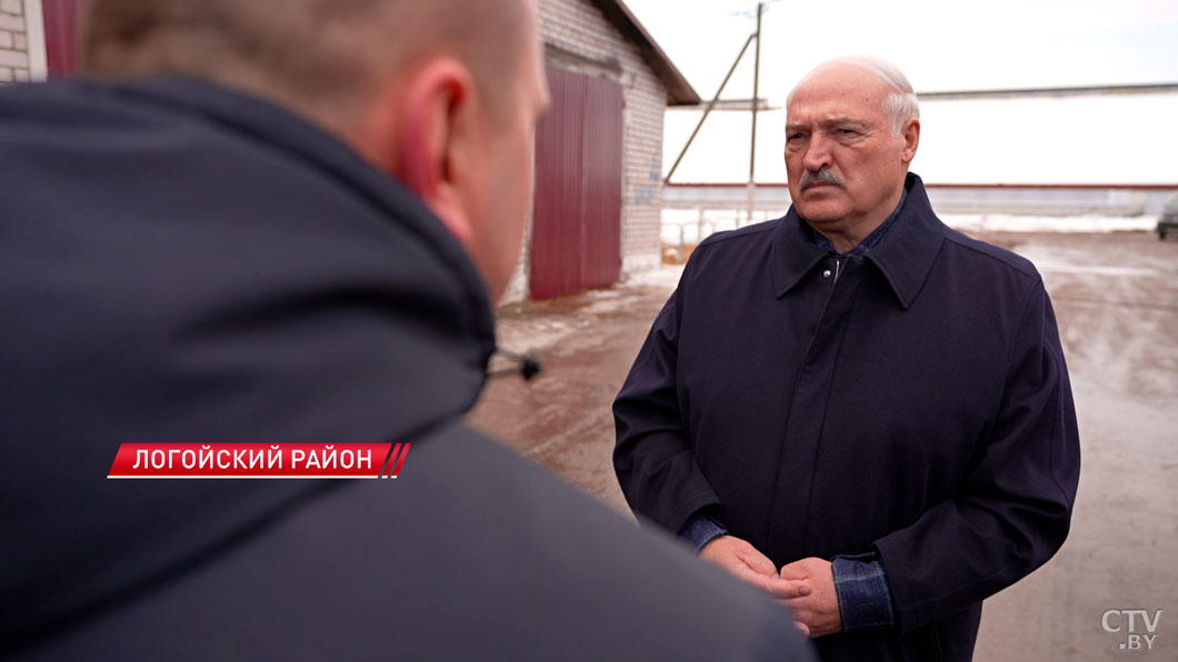 Лукашенко: «Такого быть не должно!» Президент нагрянул на ферму с неожиданной проверкой-6