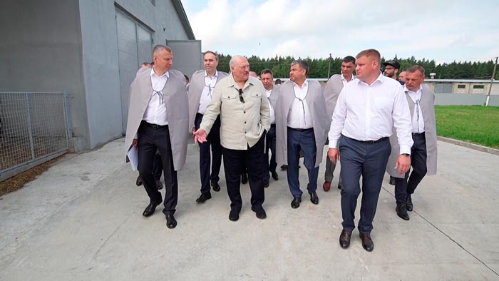 Лукашенко поручил интенсифицировать козоводство! Рассказываем о перспективах отрасли