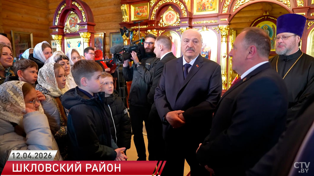 Указ Президента: в Беларуси создадут реестр производителей кормов-2