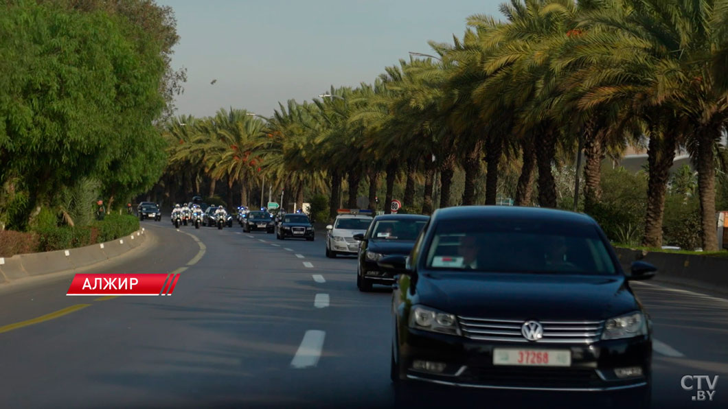 Беларусь и Алжир открывают новую страницу в отношениях! Как встретили Лукашенко в североафриканской стране?-12