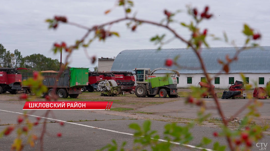 Лукашенко в Шкловском районе: нутром чую, что дисциплины в хозяйстве нет!-2 Лукашенко в Шкловском районе: нутром чую, что дисциплины в хозяйстве нет!-2