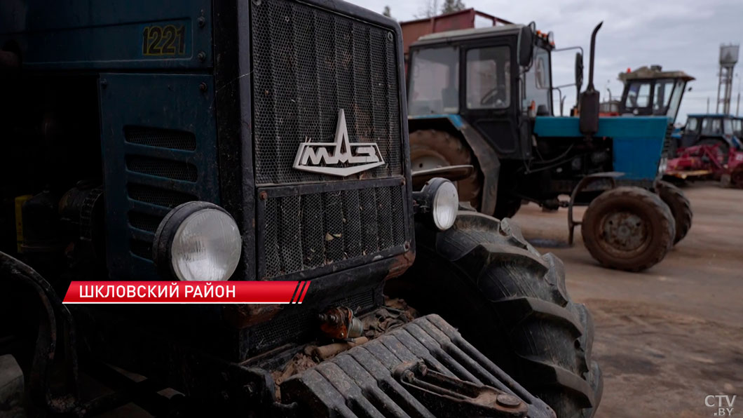 Лукашенко в Шкловском районе: нутром чую, что дисциплины в хозяйстве нет!-6 Лукашенко в Шкловском районе: нутром чую, что дисциплины в хозяйстве нет!-6