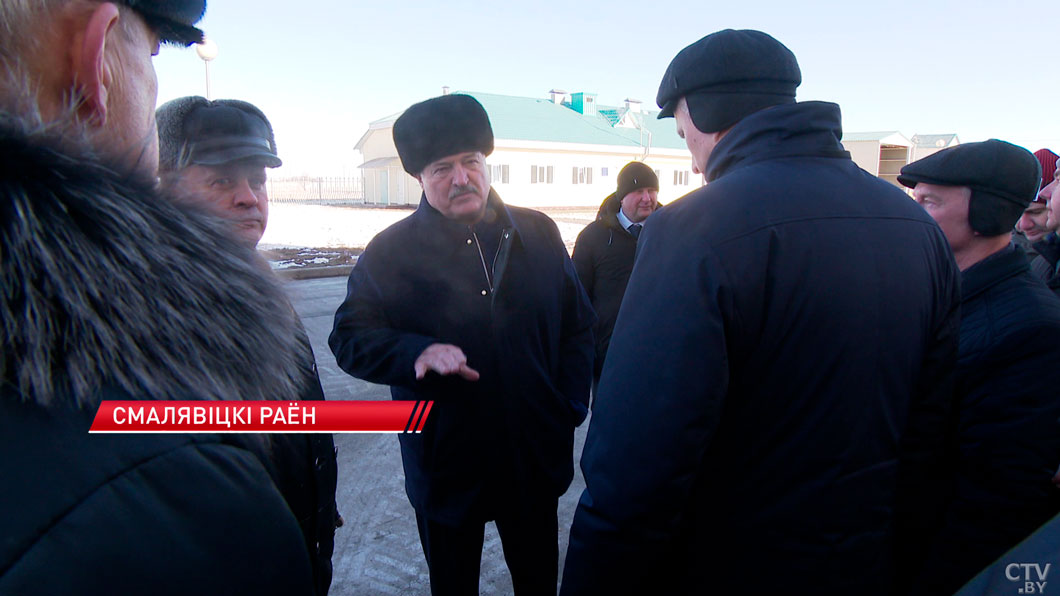 Лукашенко: вице-премьер говорит, у них на комплексах 20% всего кормораздатчиков – этого быть не должно!-2 Лукашенко: вице-премьер говорит, у них на комплексах 20% всего кормораздатчиков – этого быть не должно!-2