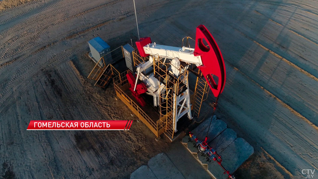 Лукашенко: Академия наук, НПЦ и «Белоруснефть» должны работать в одной увязке – делиться тут нечего-12