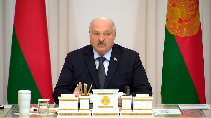 Лукашенко: избирательная кампания должна пройти так, чтобы комар носа не подточил