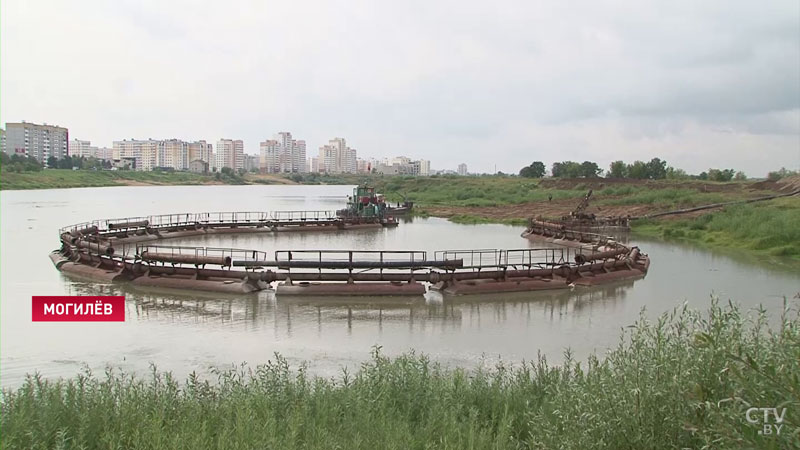 Не допустить превращения в болото. Могилевчане спасают затоки Днепра 