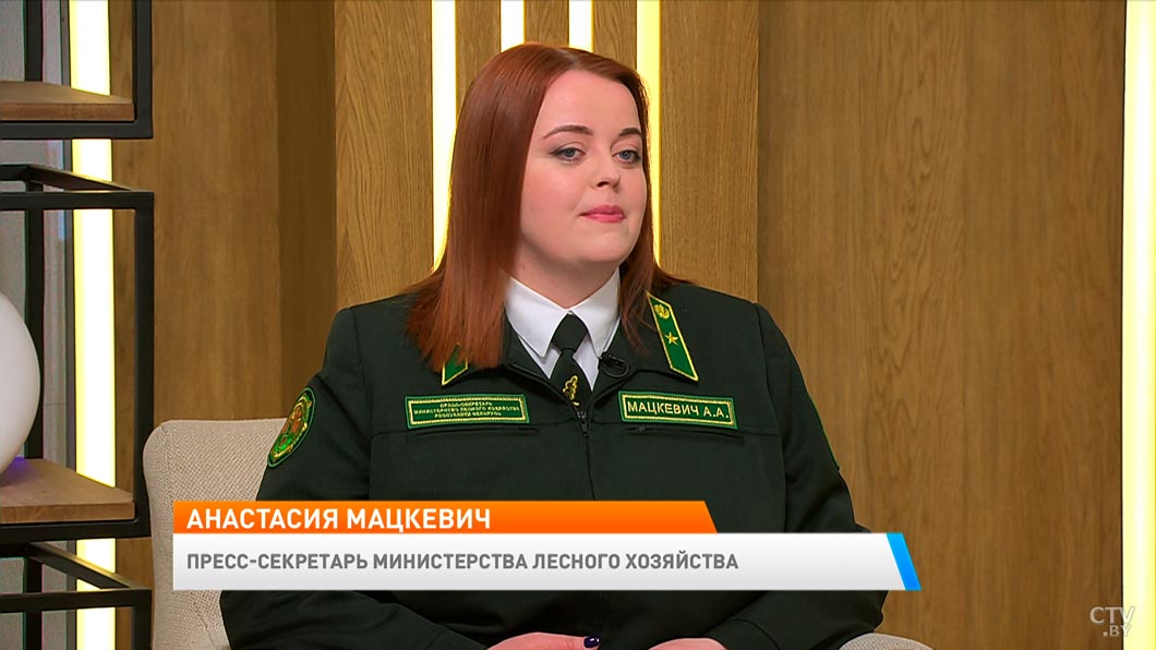 В Беларуси стартовала акция «Лес! Дабро! Парадак!» – кто может принять участие и что для этого нужно?-2