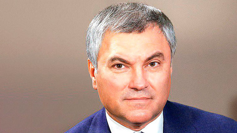 Володин заявил, что поведение Зеленского указывает на психическое расстройство