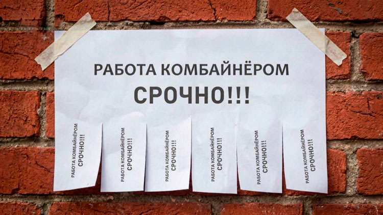 15 тысяч на двоих – семейный экипаж комбайна рассказал о зарплате 15 тысяч на двоих – семейный экипаж комбайна рассказал о зарплате
