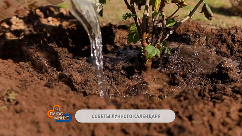 Лунный календарь на начало октября-2 Лунный календарь на начало октября-2
