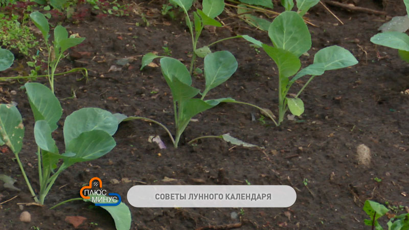 Лунный календарь на начало октября-4 Лунный календарь на начало октября-4